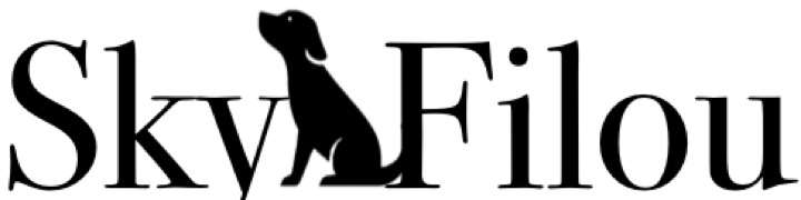 skyandfilou.com- Logo - Bewertungen